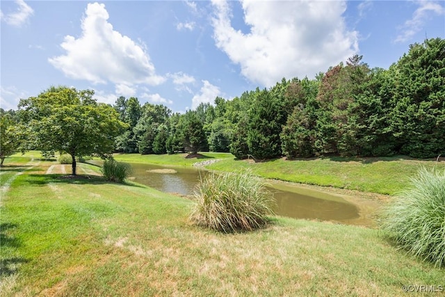 10966 Bland Ridge Dr, South Prince George, VA 23805 - view of home's community with a water view and a yard