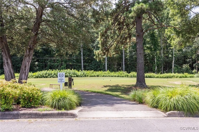 10966 Bland Ridge Dr, South Prince George, VA 23805 - surrounding community featuring a yard