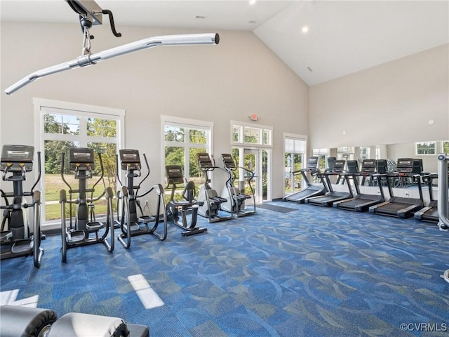 6013 Banyan Ln, Chesterfield, VA 23234 - gym with carpet flooring and high vaulted ceiling