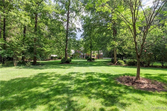 8500 Mount Eagle Rd, Hanover, VA 23005 - photo 5