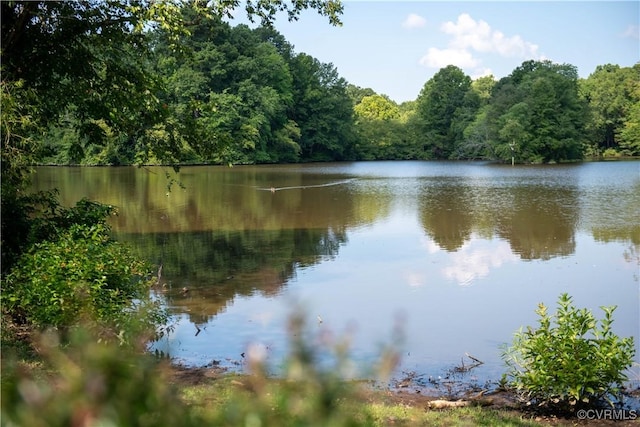 14736 Boyces Cove Dr Unit 8, Midlothian, VA 23112 - photo 27
