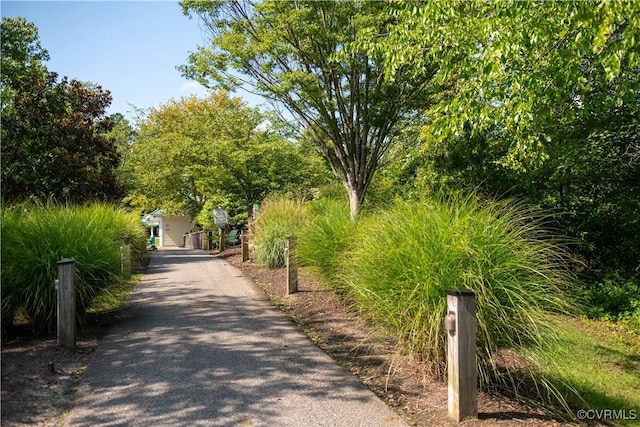 14736 Boyces Cove Dr Unit 8, Midlothian, VA 23112 - photo 29