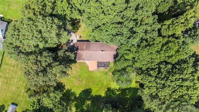 11064 Palmwood Cir, Mechanicsville, VA 23116 - photo 44