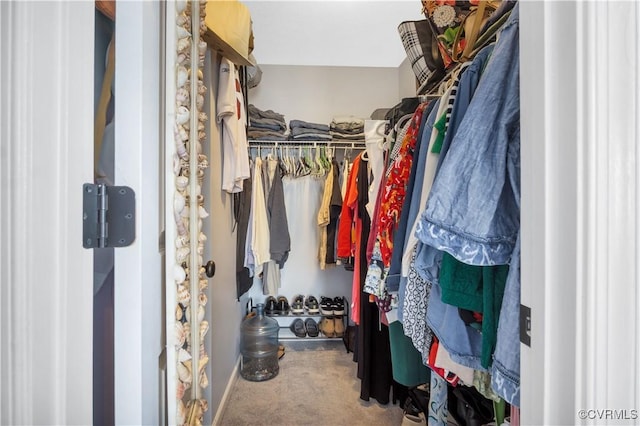 4115 Stonewood Ln, Williamsburg, VA 23188 - walk in closet featuring carpet floors
