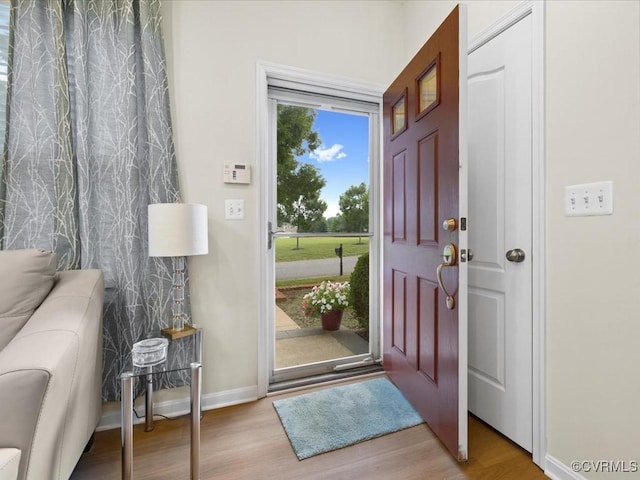 17318 Library Blvd, Ruther Glen, VA 22546 - entryway featuring wood finished floors and baseboards