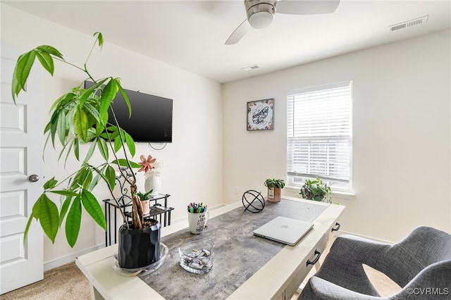 7828 Vermeil St, North Chesterfield, VA 23237 - office space with a ceiling fan and baseboards
