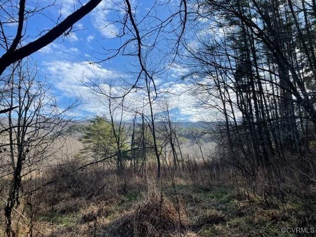 7305 Big Back Creek Rd, Warm Springs, VA 24484 - photo 6