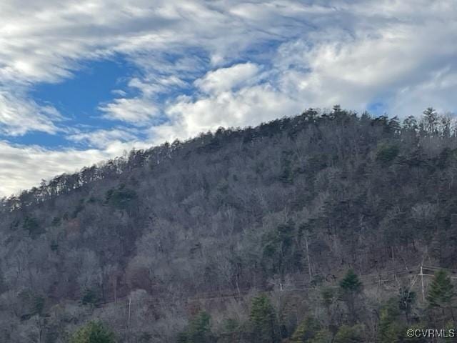 7305 Big Back Creek Rd, Warm Springs, VA 24484 - photo 7