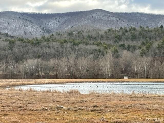 7305 Big Back Creek Rd, Warm Springs, VA 24484 - photo 12