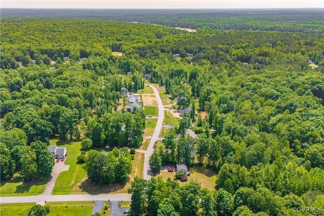 15631 Corte Castle Ter, Chesterfield, VA 23838 - photo 37
