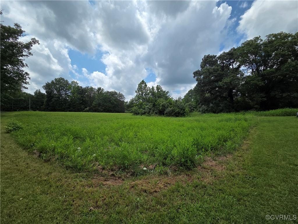 2561 Elpis Church Rd, Maidens, VA 23102 - photo 3