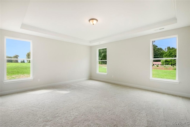 8124 Clancy Ct, Chesterfield, VA 23838 - spare room featuring a raised ceiling and carpet floors