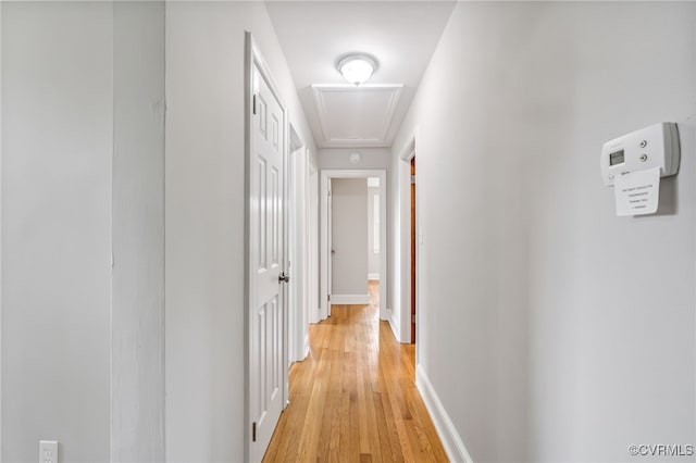 4308 Sunset Dr, North Dinwiddie, VA 23803 - hallway with light wood-style floors and baseboards