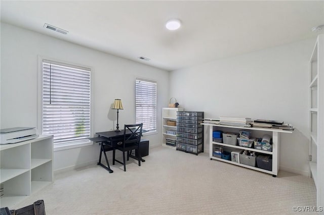 14424 Michaux Village Dr, Midlothian, VA 23113 - office space with carpet flooring and healthy amount of natural light