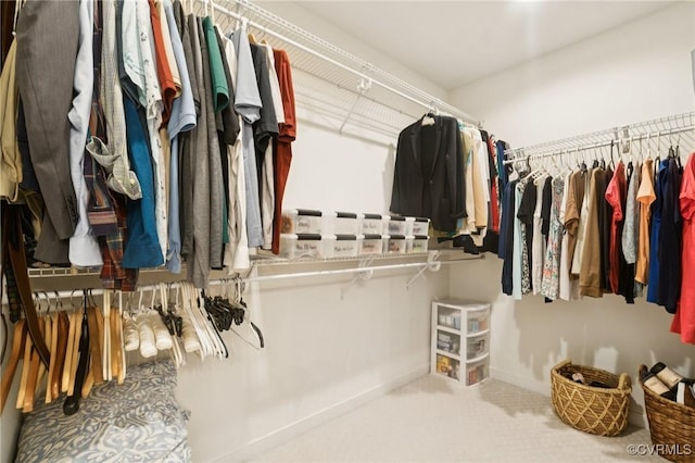 14424 Michaux Village Dr, Midlothian, VA 23113 - spacious closet featuring carpet flooring