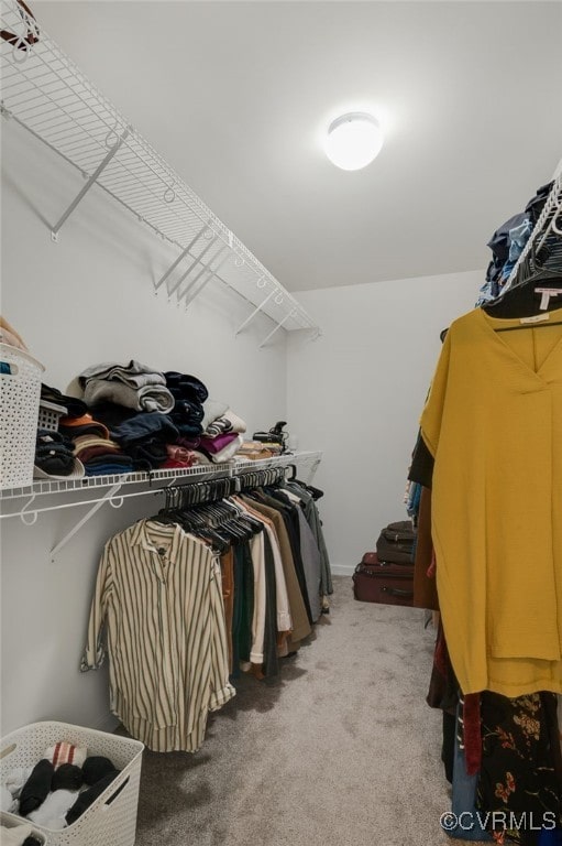 18325 Palisades Ct, Moseley, VA 23120 - spacious closet featuring carpet