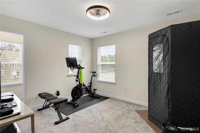 18325 Palisades Ct, Moseley, VA 23120 - exercise room featuring carpet flooring