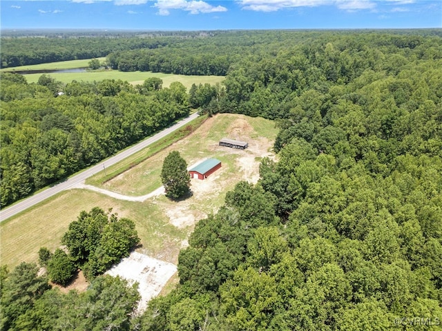 33419 Richmond Tpke, Hanover, VA 23069 - view of rural area with a heavily wooded area