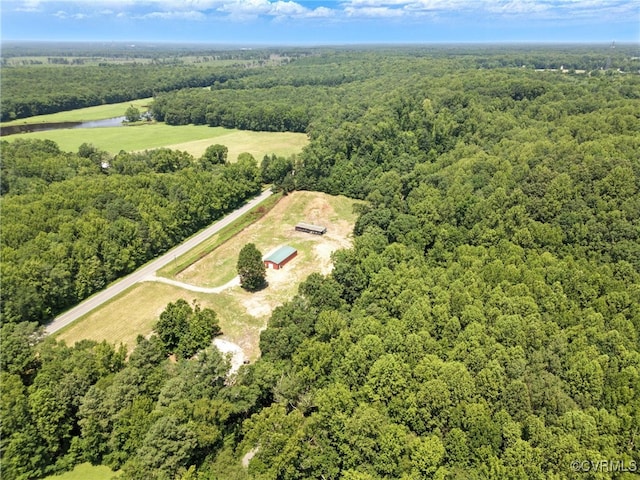 33419 Richmond Tpke, Hanover, VA 23069 - aerial view of a forest and a nearby body of water
