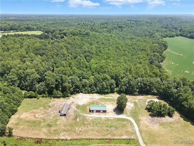 33419 Richmond Tpke, Hanover, VA 23069 - overview of rural landscape featuring a forest