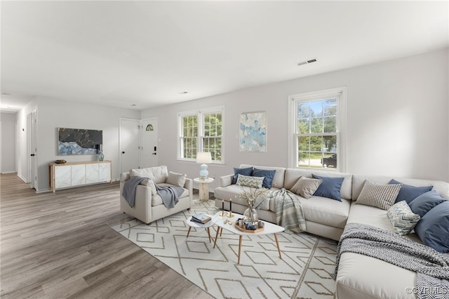 10500 Claybar Trl, North Chesterfield, VA 23236 - living area featuring plenty of natural light and wood finished floors