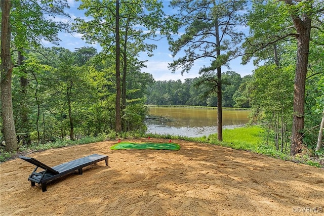 113 Rappa Run Rd, Topping, VA 23169 - view of property's community featuring a forest view and a water view
