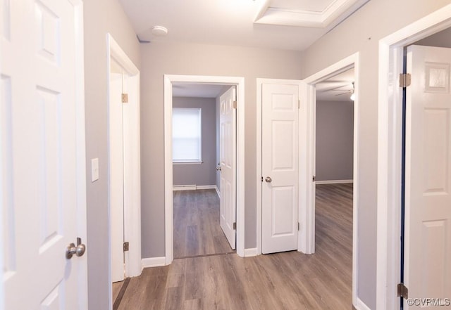 64 Gibbons Ave, Petersburg, VA 23803 - hallway featuring wood finished floors and baseboards