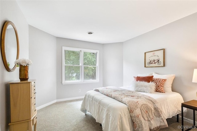 1712 Porters Mill Ln, Midlothian, VA 23114 - photo 20