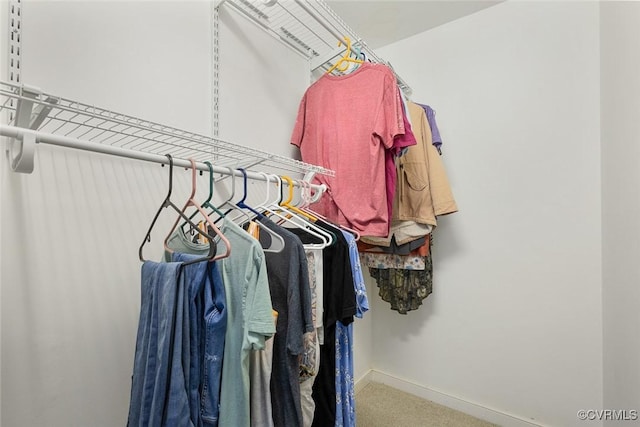 1712 Porters Mill Ln, Midlothian, VA 23114 - walk in closet with carpet floors
