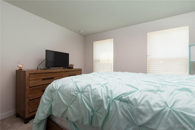 6740 Edith Oaks Way Unit 6740, Chesterfield, VA 23234 - bedroom featuring light carpet and baseboards