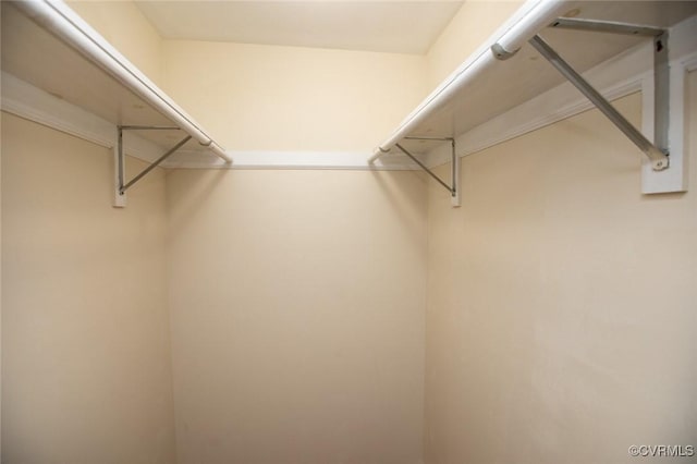 407 E 2nd St, Farmville, VA 23901 - view of walk in closet
