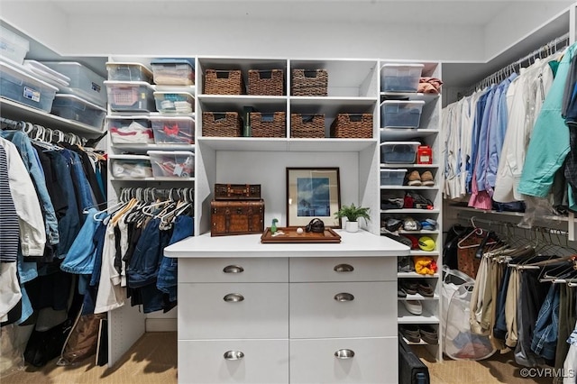 5911 Waters Edge Rd, Midlothian, VA 23112 - view of spacious closet