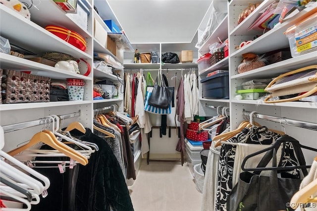 5911 Waters Edge Rd, Midlothian, VA 23112 - view of walk in closet