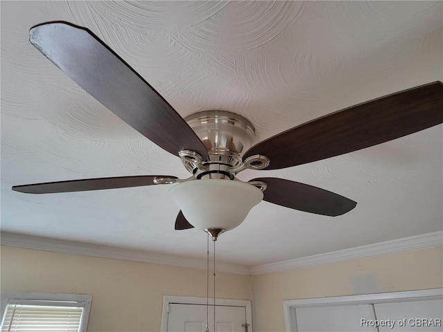527 Price St, Hampton, VA 23663 - detailed view of ceiling fan and crown molding