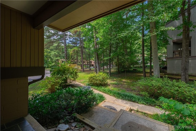 9312 Groundhog, Chesterfield, VA 23235 - view of yard