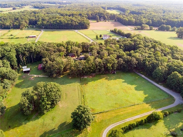 17009 Faithful Run, Montpelier, VA 23192 - view of rural area