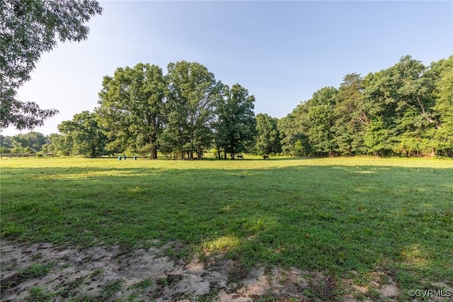 17009 Faithful Run, Montpelier, VA 23192 - view of green lawn