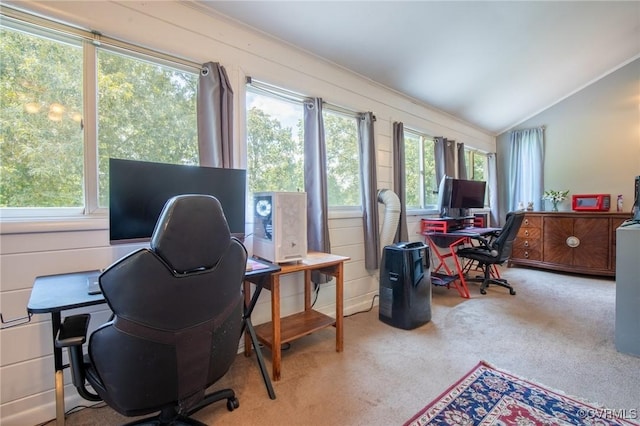 17009 Faithful Run, Montpelier, VA 23192 - carpeted home office with healthy amount of natural light and vaulted ceiling