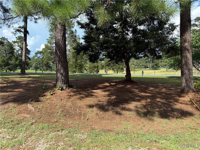 125 Settlers Way Rd, New Canton, VA 23123 - photo 24