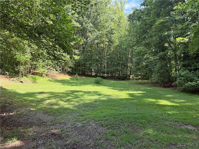125 Settlers Way Rd, New Canton, VA 23123 - photo 10