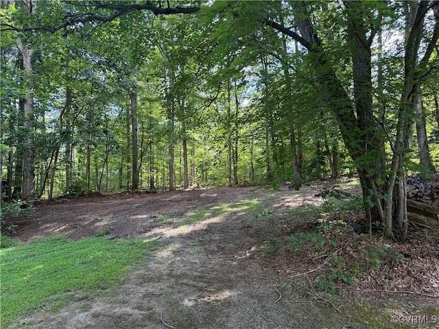 125 Settlers Way Rd, New Canton, VA 23123 - photo 11