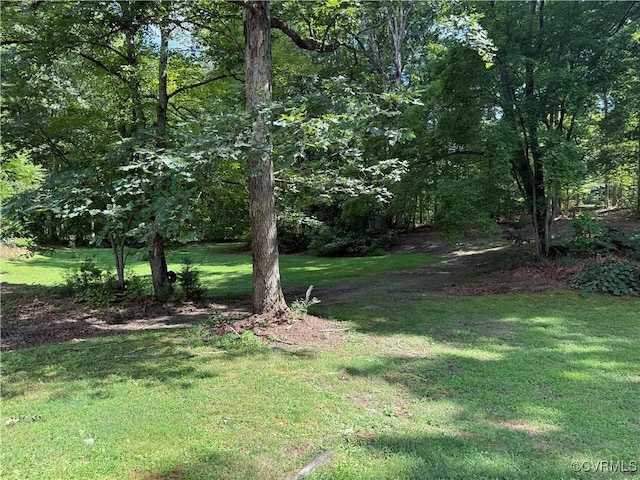 125 Settlers Way Rd, New Canton, VA 23123 - photo 12