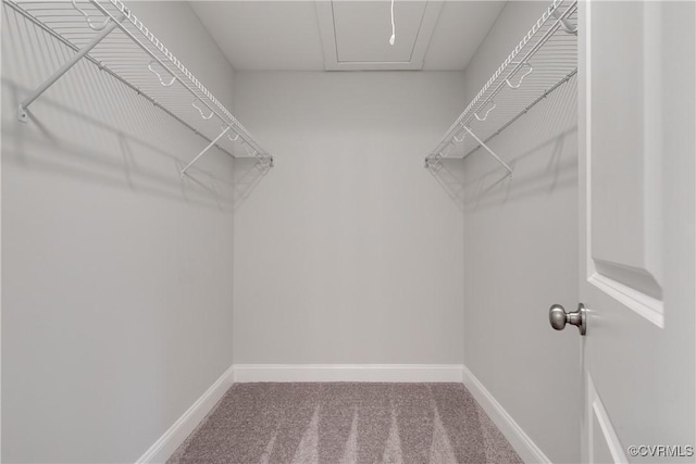 68 Halls Store Rd, Mineral, VA 23117 - walk in closet with carpet