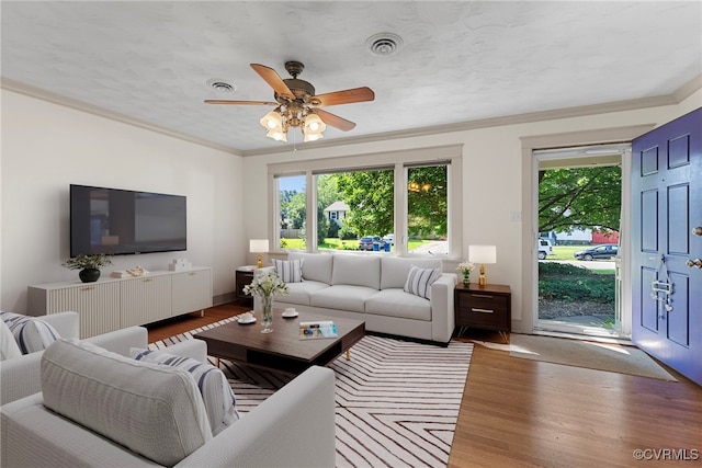 6482 Robin Way, Mechanicsville, VA 23111 - living room with wood finished floors, ornamental molding, and a ceiling fan