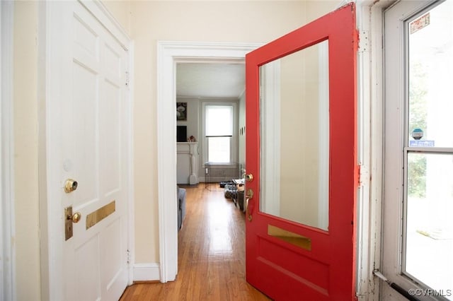 405 E 2nd St, Farmville, VA 23901 - entryway featuring plenty of natural light and light wood-type flooring