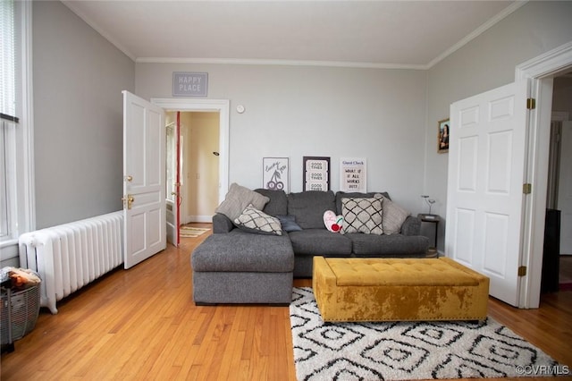 405 E 2nd St, Farmville, VA 23901 - living room with radiator, ornamental molding, and light wood finished floors
