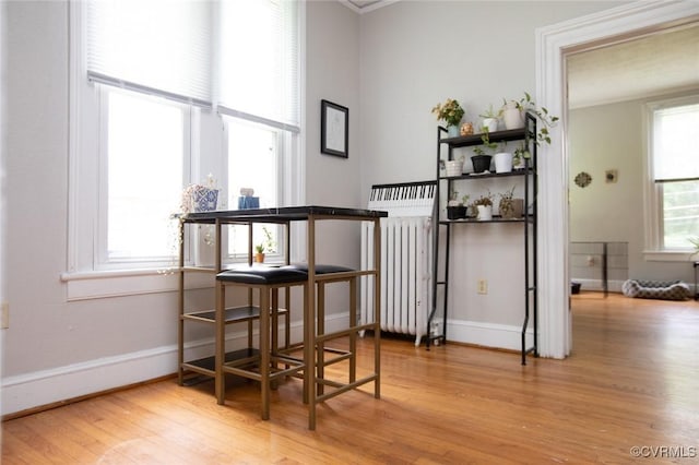 405 E 2nd St, Farmville, VA 23901 - dining space with radiator and wood finished floors