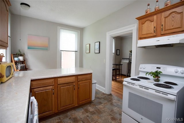 405 E 2nd St, Farmville, VA 23901 - kitchen with white range with electric cooktop, under cabinet range hood, stainless steel microwave, and light countertops