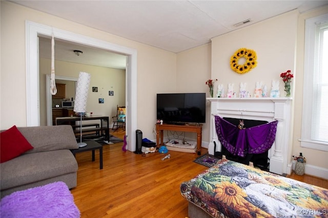 405 E 2nd St, Farmville, VA 23901 - living room featuring light wood finished floors