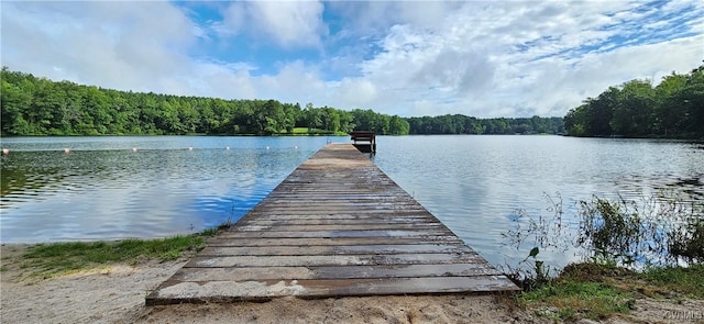 32 Hillcrest Dr, Columbia, VA 23038 - dock area featuring a water view and a forest view